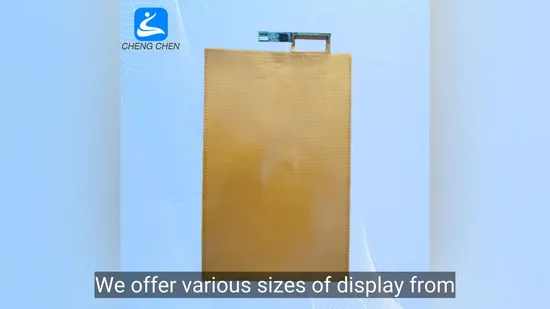 10.1\11.6\13.3\14.1\15.6\18.5\21.5 Inch 800*1280 Electromagnetic Film Writing LCD Screen, Durable Build 